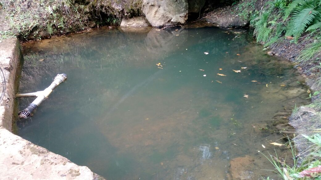 Bell - A perfect theme